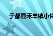 于都县禾丰镇小伶俐幼儿园的地址在哪