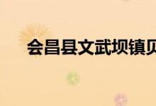 会昌县文武坝镇贝贝幼儿园的地址在哪