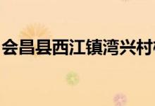 会昌县西江镇湾兴村桐子坪幼儿园的地址在哪