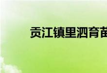 贡江镇里泗育苗幼儿园的地址在哪
