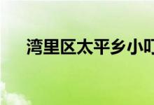 湾里区太平乡小叮铛幼儿园的地址在哪