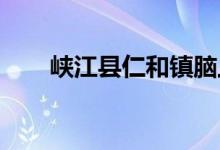 峡江县仁和镇脑上幼儿园的地址在哪