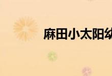 麻田小太阳幼儿园的地址在哪