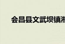 会昌县文武坝镇湘东幼儿园的地址在哪