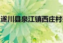 遂川县泉江镇西庄村开心果幼儿园的地址在哪