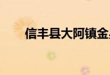信丰县大阿镇金星幼儿园的地址在哪