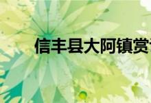 信丰县大阿镇赏识幼儿园的地址在哪