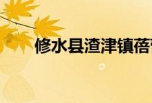 修水县渣津镇蓓蕾幼儿园的地址在哪