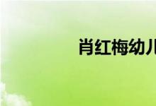 肖红梅幼儿园的地址在哪
