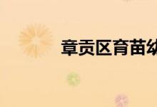 章贡区育苗幼儿园的地址在哪