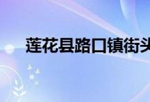 莲花县路口镇街头村幼儿园的地址在哪