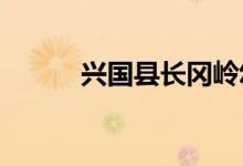 兴国县长冈岭幼儿园的地址在哪