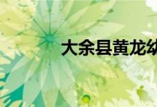 大余县黄龙幼儿园的地址在哪