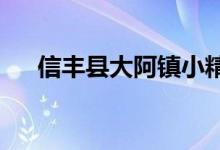 信丰县大阿镇小精灵幼儿园的地址在哪