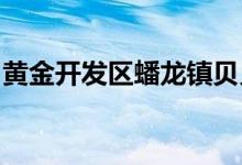 黄金开发区蟠龙镇贝贝艺术幼儿园的地址在哪