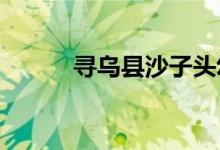 寻乌县沙子头幼儿园的地址在哪