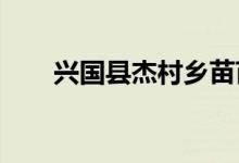 兴国县杰村乡苗苗幼儿园的地址在哪