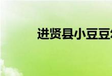 进贤县小豆豆幼儿园的地址在哪