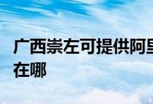 广西崇左可提供阿里斯顿热水器维修服务地址在哪
