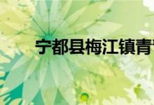 宁都县梅江镇青青幼儿园的地址在哪