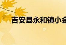 吉安县永和镇小金龙幼儿园的地址在哪