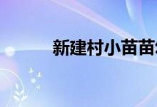 新建村小苗苗幼儿园的地址在哪
