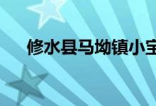 修水县马坳镇小宝贝幼儿园的地址在哪