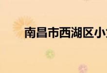 南昌市西湖区小兔幼儿园的地址在哪
