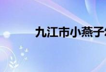 九江市小燕子幼儿园的地址在哪