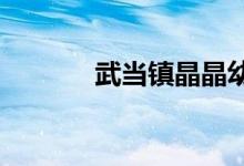 武当镇晶晶幼儿园的地址在哪