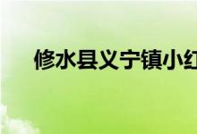 修水县义宁镇小红花幼儿园的地址在哪
