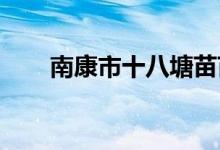南康市十八塘苗苗幼儿园的地址在哪