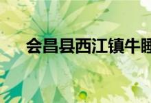 会昌县西江镇牛睡村幼儿园的地址在哪