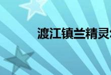 渡江镇兰精灵幼儿园的地址在哪