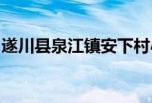遂川县泉江镇安下村小完美幼儿园的地址在哪