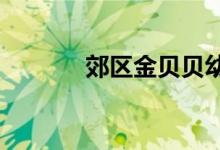 郊区金贝贝幼儿园的地址在哪