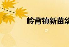 岭背镇新苗幼儿园的地址在哪