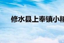 修水县上奉镇小精灵幼儿园的地址在哪