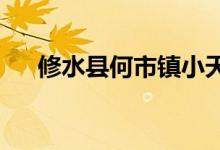 修水县何市镇小天使幼儿园的地址在哪