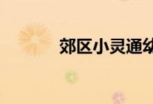 郊区小灵通幼儿园的地址在哪