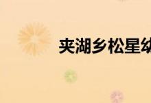 夹湖乡松星幼儿园的地址在哪