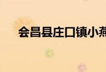 会昌县庄口镇小燕子幼儿园的地址在哪