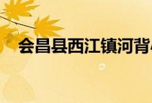 会昌县西江镇河背小子幼儿园的地址在哪
