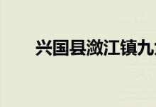 兴国县潋江镇九九幼儿园的地址在哪