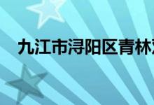 九江市浔阳区青林双语幼儿园的地址在哪