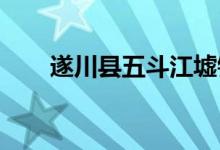 遂川县五斗江墟镇幼儿园的地址在哪