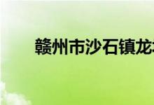 赣州市沙石镇龙埠幼儿园的地址在哪