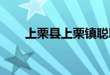上栗县上栗镇聪聪幼儿园的地址在哪
