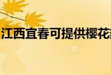 江西宜春可提供樱花热水器维修服务地址在哪