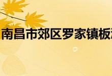 南昌市郊区罗家镇板溪南嵩幼儿园的地址在哪